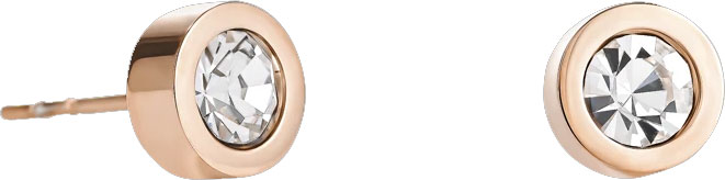 COEUR DE LION Earrings Crystal & stainless steel crystal 0228/21-1800
